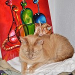 Cheshire sleeping near his painting