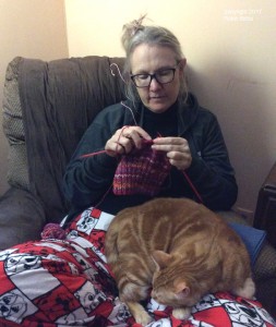 knitting with brie-sml