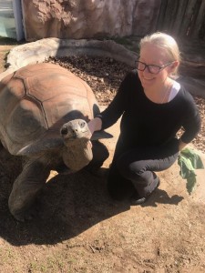 George the Aldabra tortoise